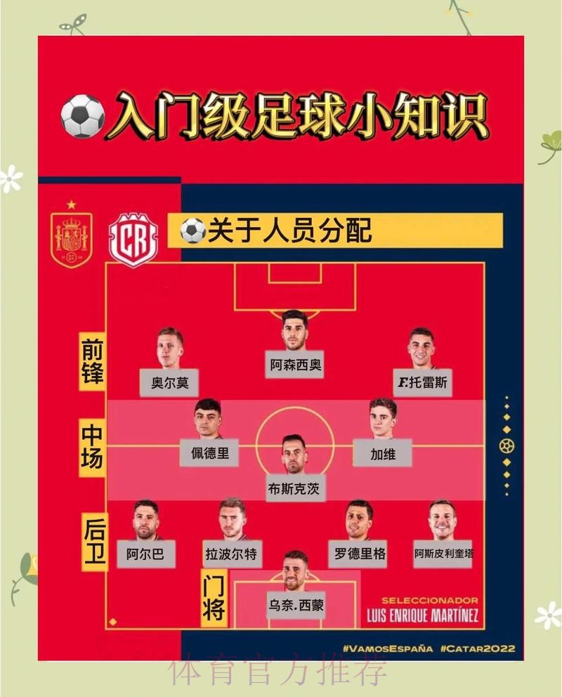 最新世界杯比分入口及赛事解析指南